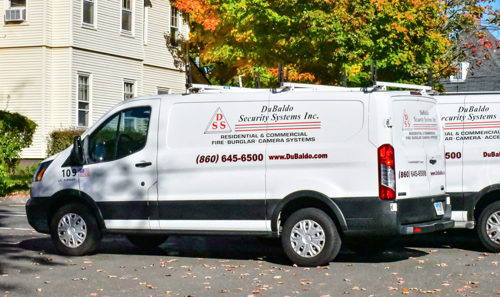 DuBaldo Van Picture